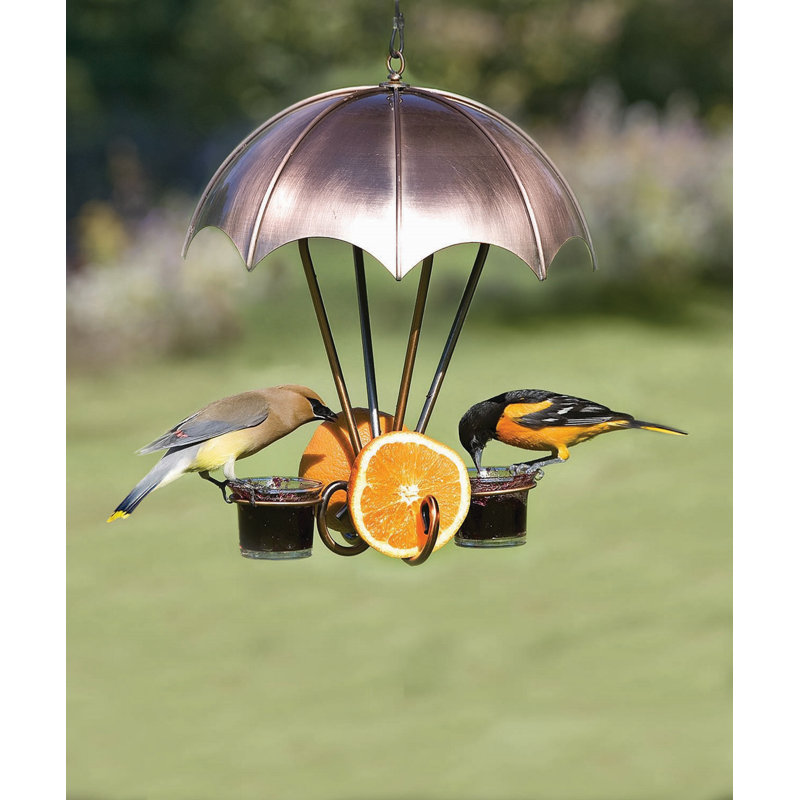 Woodlink Oriole Decorative Bird Feeder Wayfair